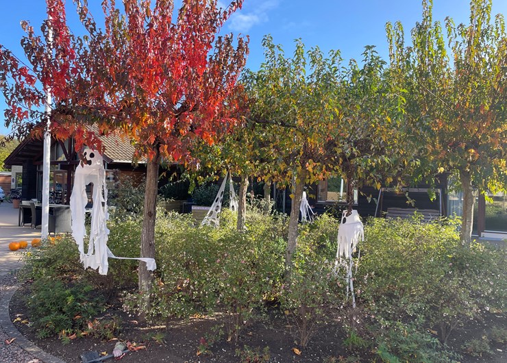 Halloween i gården på Boligerne